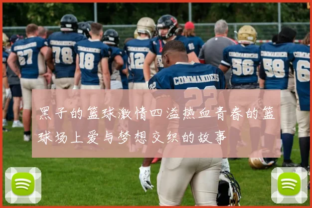 黑子的篮球激情四溢热血青春的篮球场上爱与梦想交织的故事