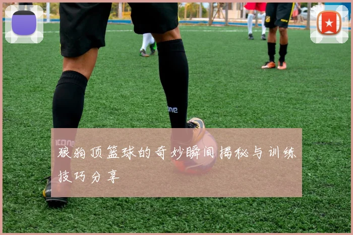 狼狗顶篮球的奇妙瞬间揭秘与训练技巧分享