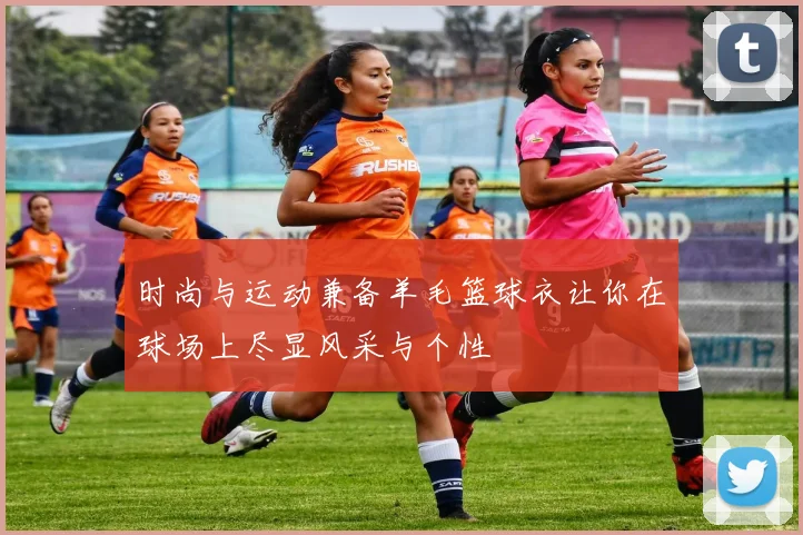 时尚与运动兼备羊毛篮球衣让你在球场上尽显风采与个性