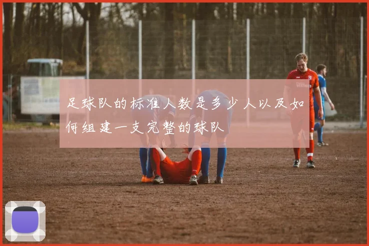 足球队的标准人数是多少人以及如何组建一支完整的球队