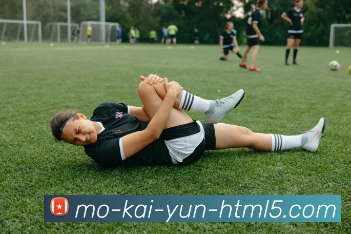 Kaiyun官网服务体系