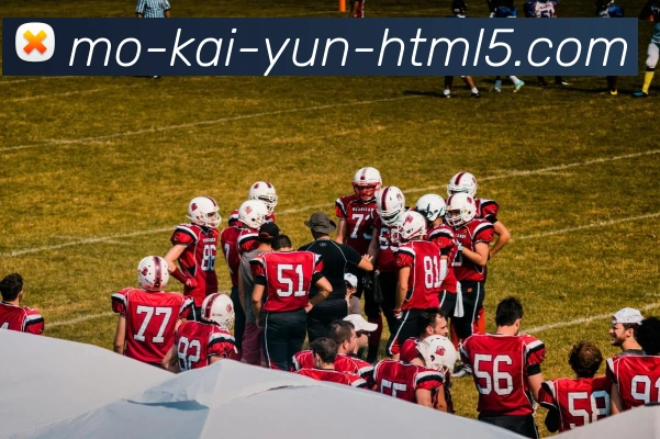 多媒体互动体验