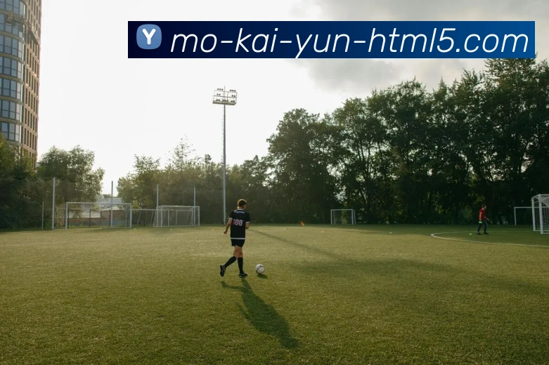 Kaiyun官网APP 体育赛事宣传图